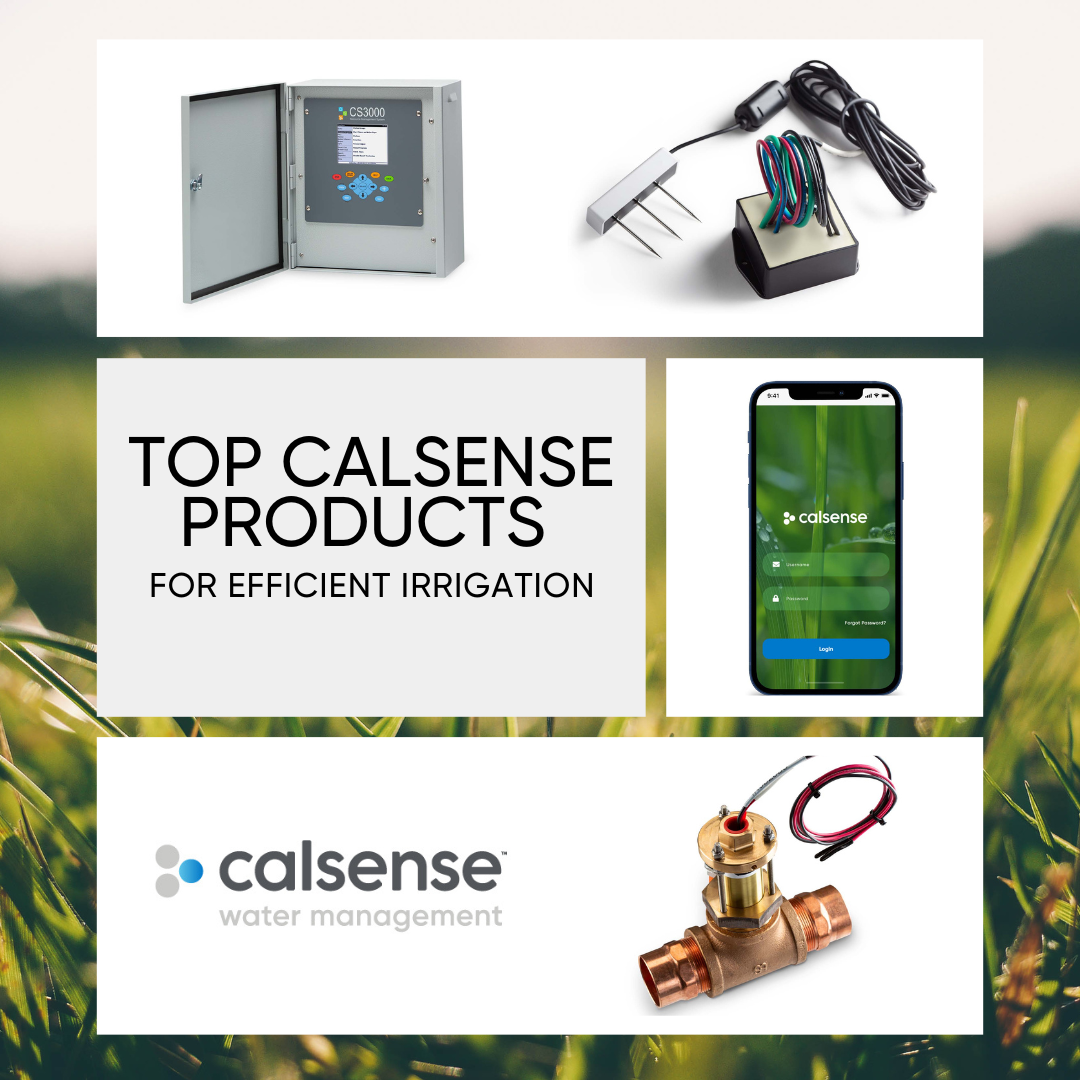 Detailed Overview of Top Calsense Products | Calsense